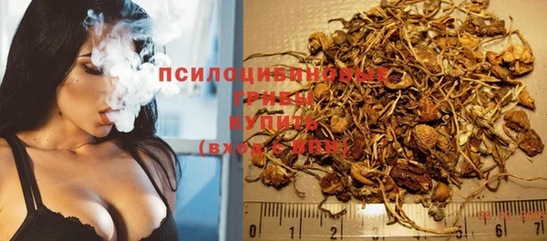 винт Покачи