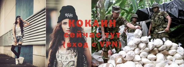 сатива Покров