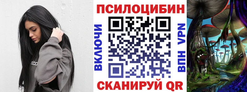 где купить   Североуральск  Псилоцибиновые грибы Psilocybine cubensis 